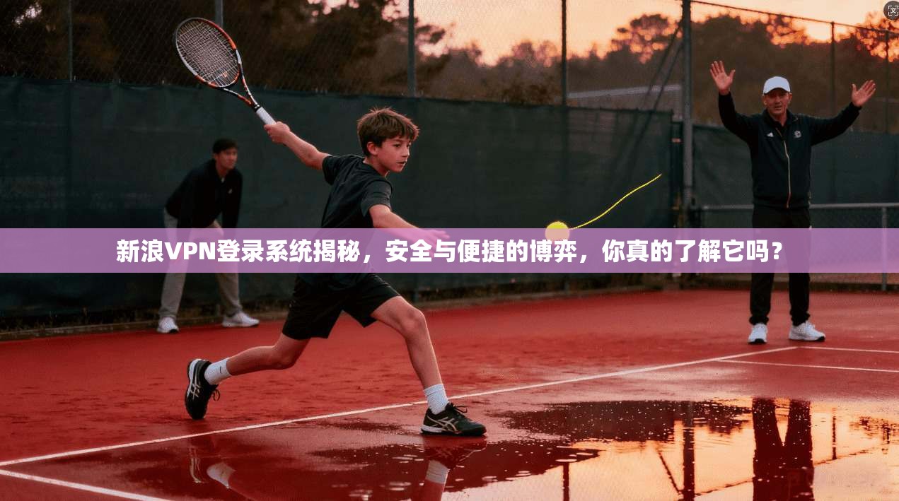 新浪VPN登录系统揭秘，安全与便捷的博弈，你真的了解它吗？