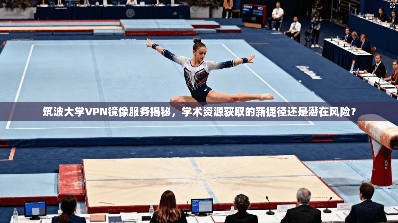 筑波大学VPN镜像服务揭秘，学术资源获取的新捷径还是潜在风险？