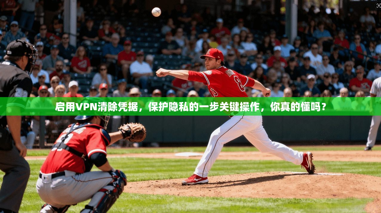 启用VPN清除凭据，保护隐私的一步关键操作，你真的懂吗？