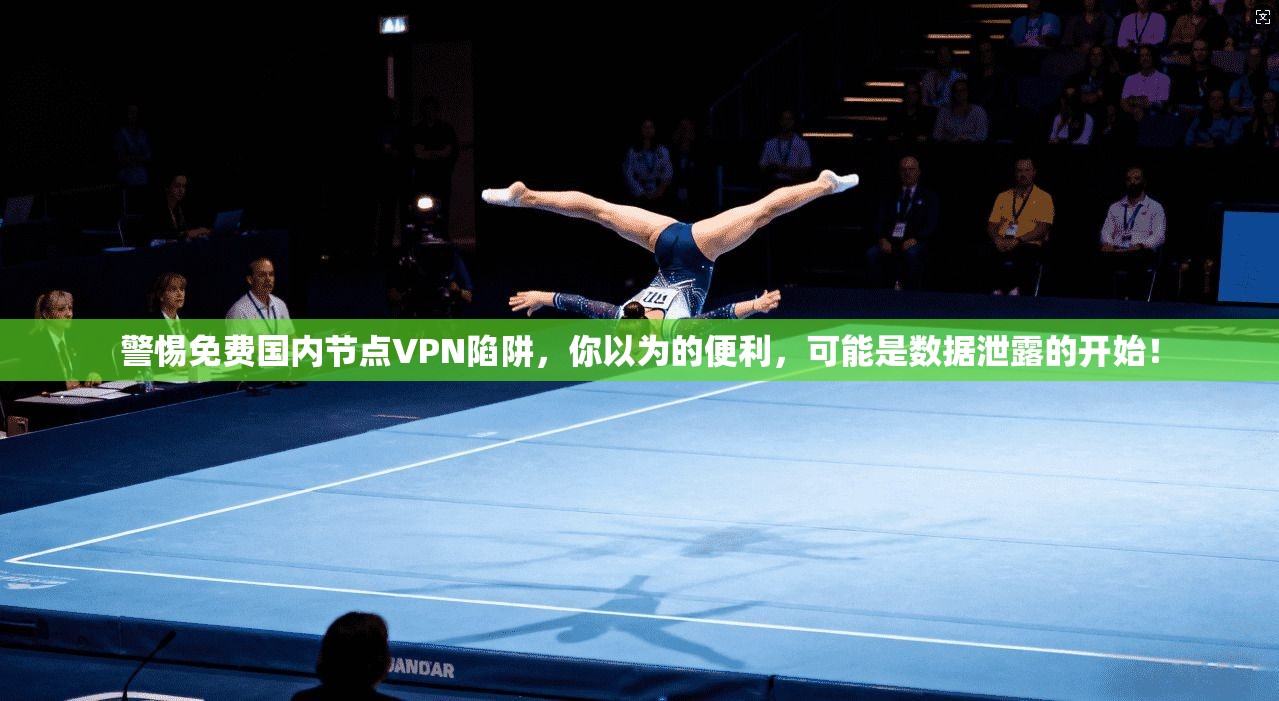 警惕免费国内节点VPN陷阱，你以为的便利，可能是数据泄露的开始！