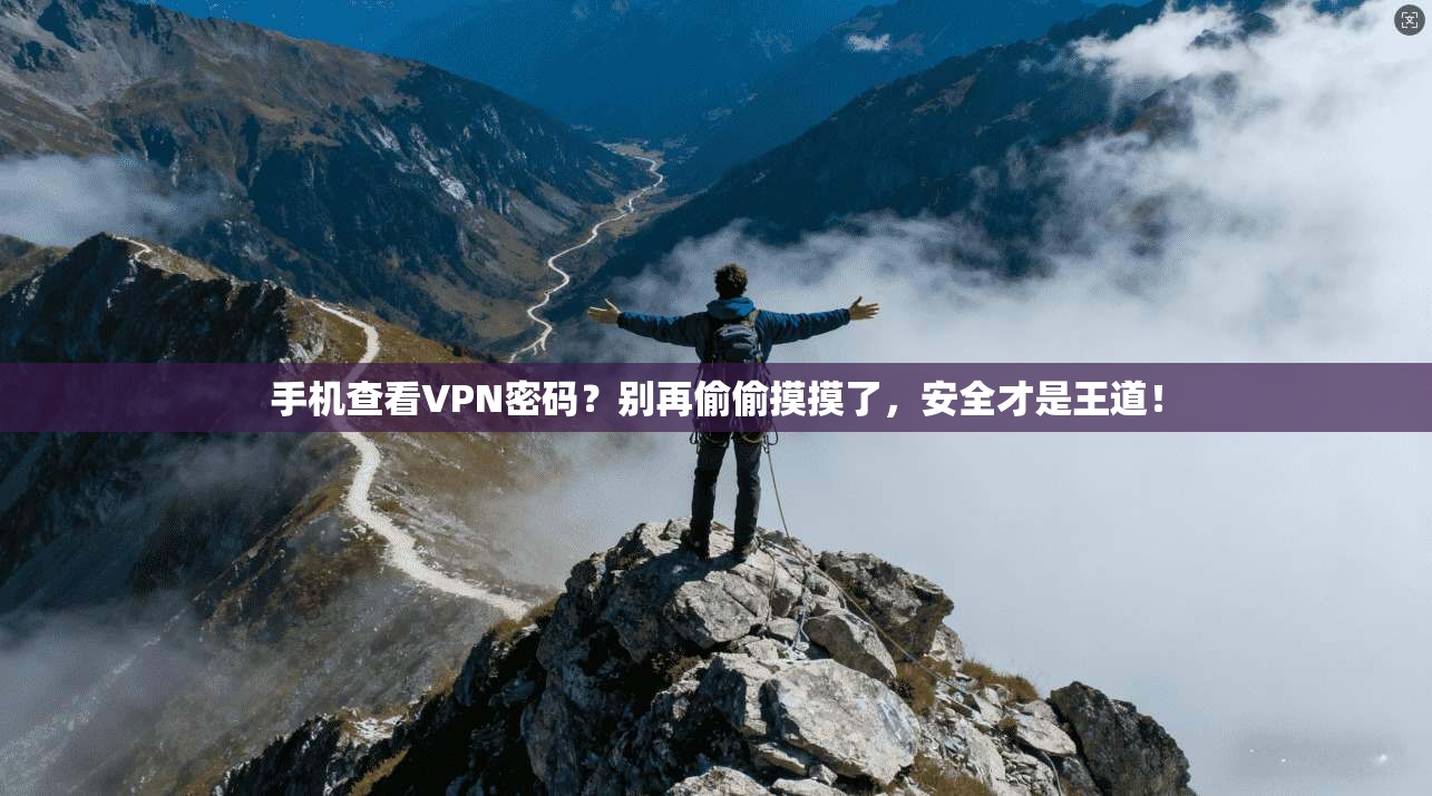 手机查看VPN密码？别再偷偷摸摸了，安全才是王道！
