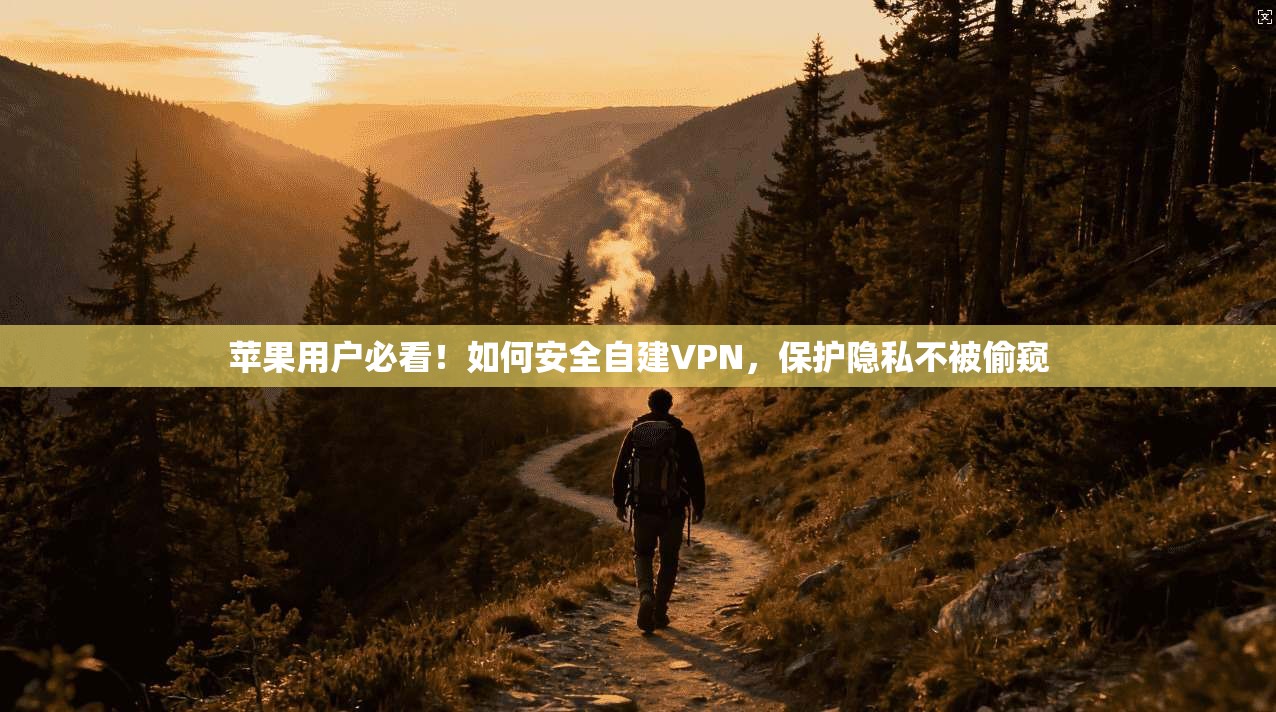 苹果用户必看！如何安全自建VPN，保护隐私不被偷窥