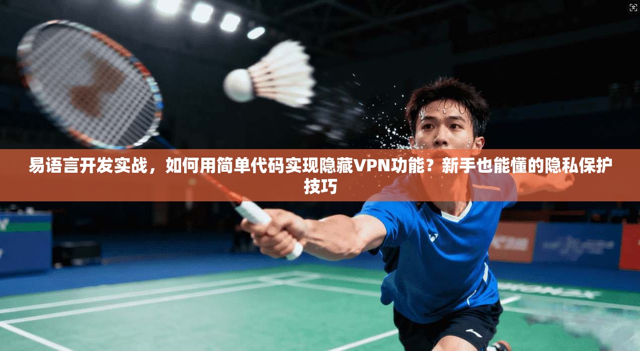 易语言开发实战，如何用简单代码实现隐藏VPN功能？新手也能懂的隐私保护技巧