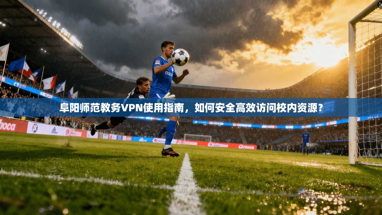 阜阳师范教务VPN使用指南，如何安全高效访问校内资源？