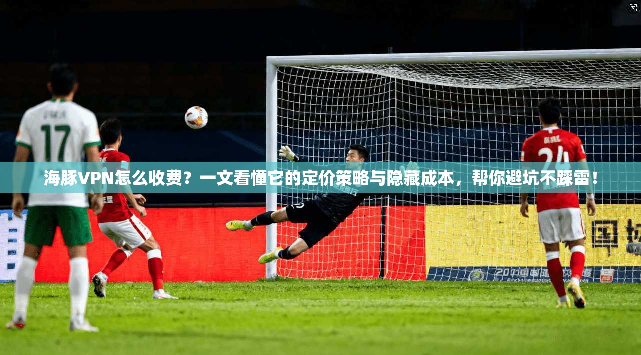 海豚VPN怎么收费？一文看懂它的定价策略与隐藏成本，帮你避坑不踩雷！