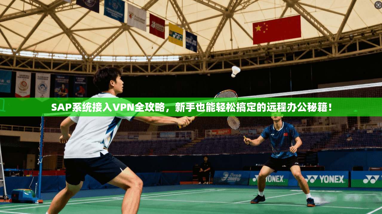 SAP系统接入VPN全攻略，新手也能轻松搞定的远程办公秘籍！