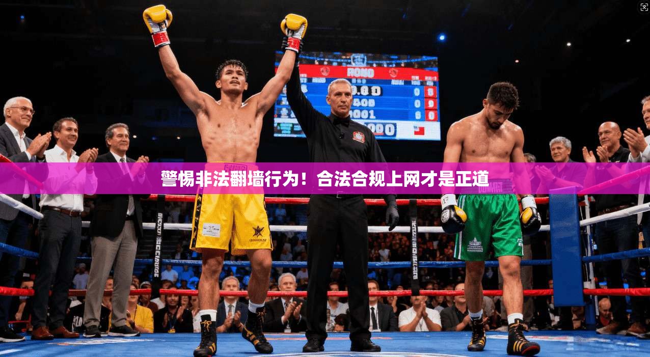 警惕非法翻墙行为！合法合规上网才是正道