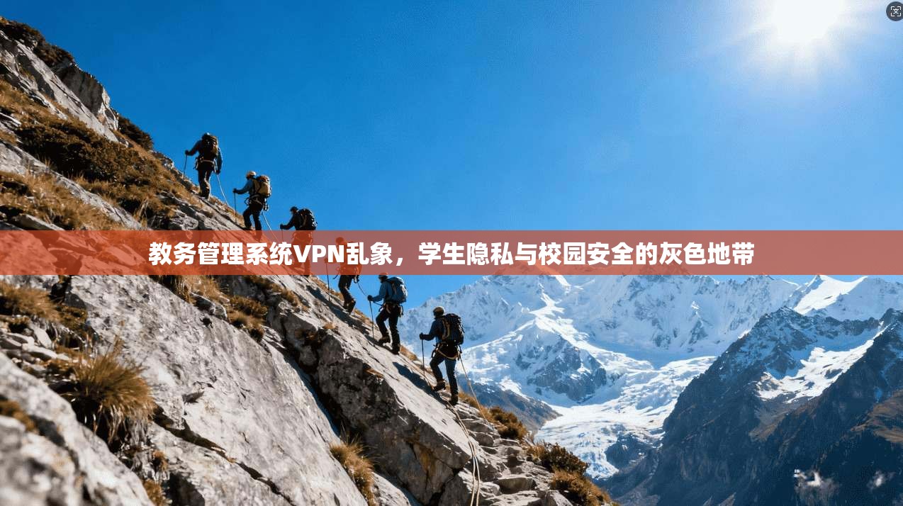 教务管理系统VPN乱象，学生隐私与校园安全的灰色地带