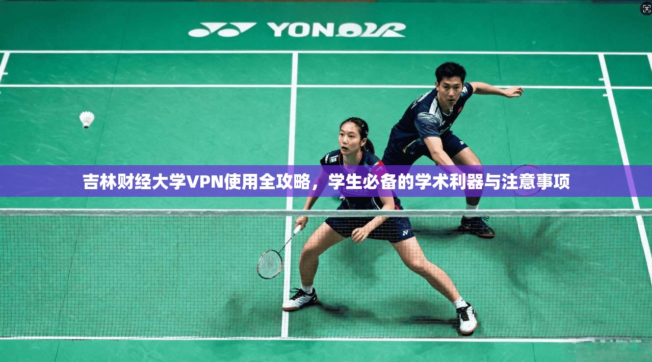 吉林财经大学VPN使用全攻略，学生必备的学术利器与注意事项