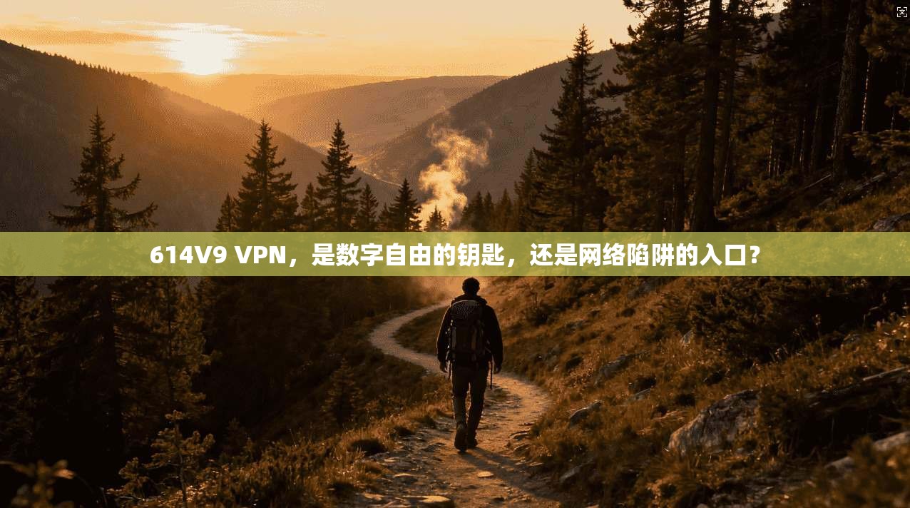 614V9 VPN，是数字自由的钥匙，还是网络陷阱的入口？