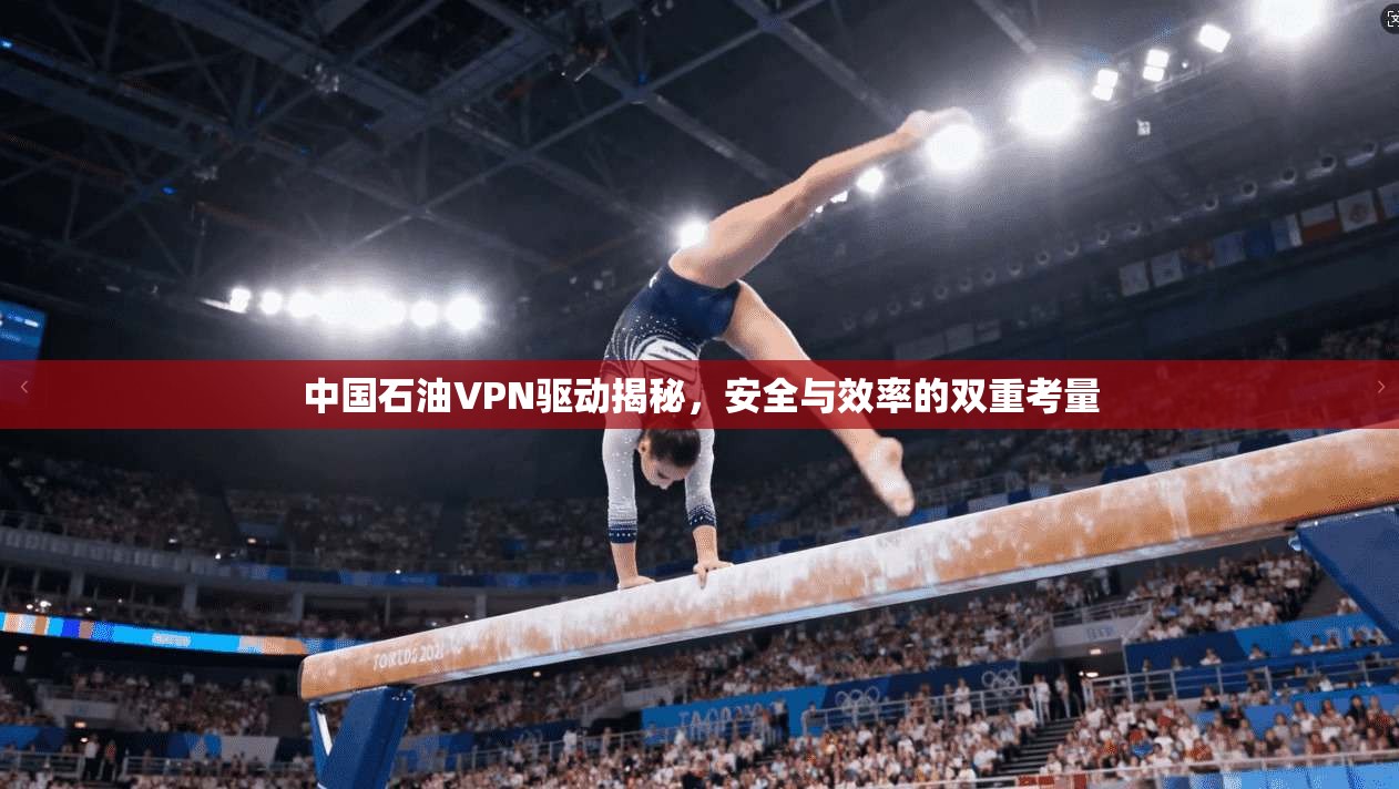 中国石油VPN驱动揭秘，安全与效率的双重考量