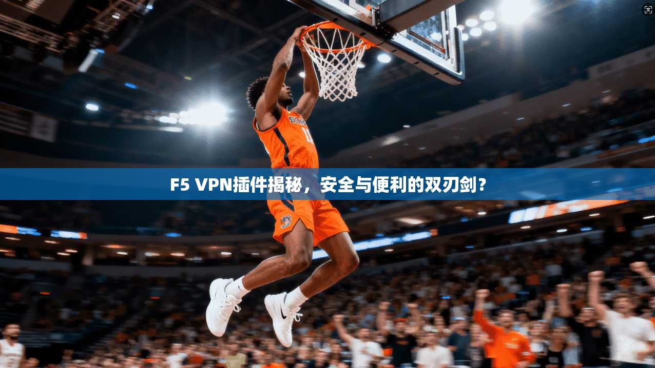 F5 VPN插件揭秘，安全与便利的双刃剑？