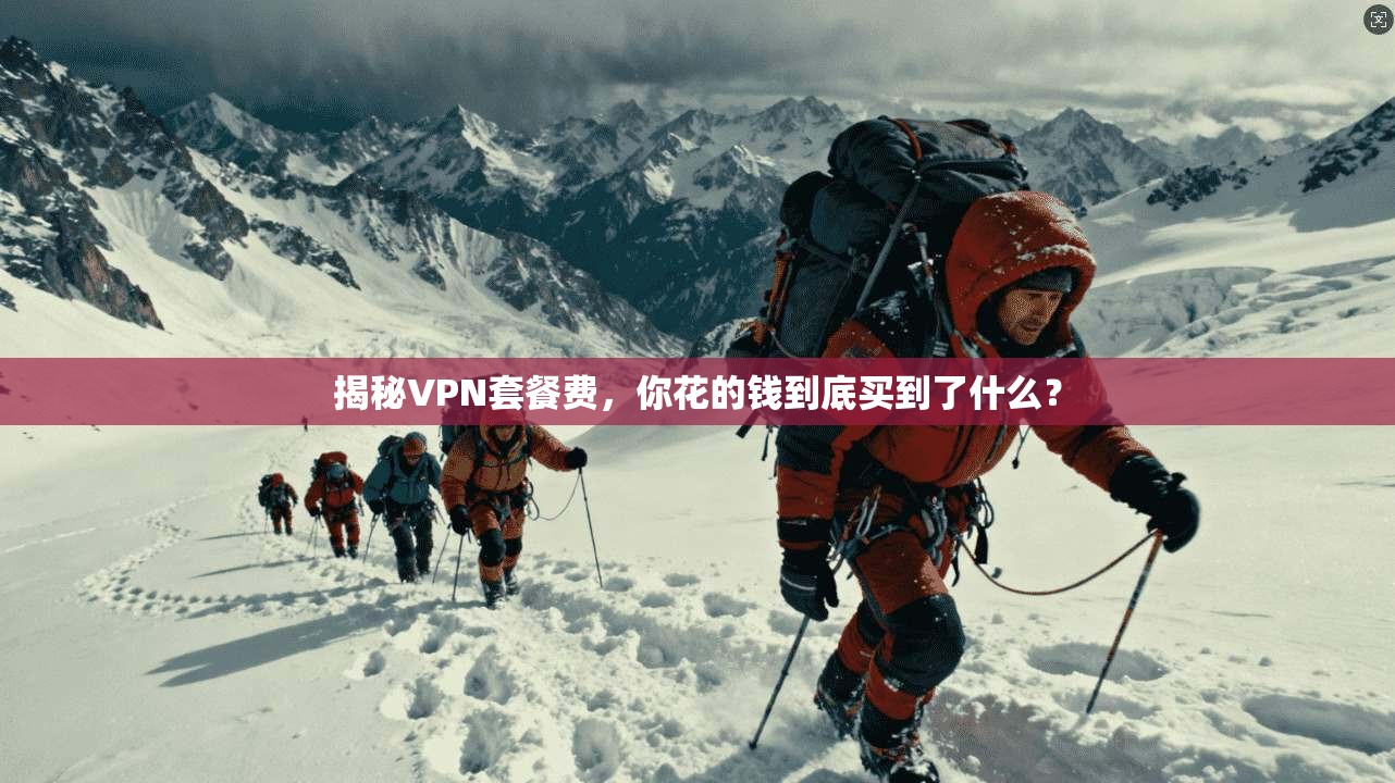 揭秘VPN套餐费，你花的钱到底买到了什么？