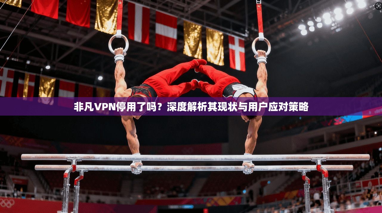 非凡VPN停用了吗？深度解析其现状与用户应对策略