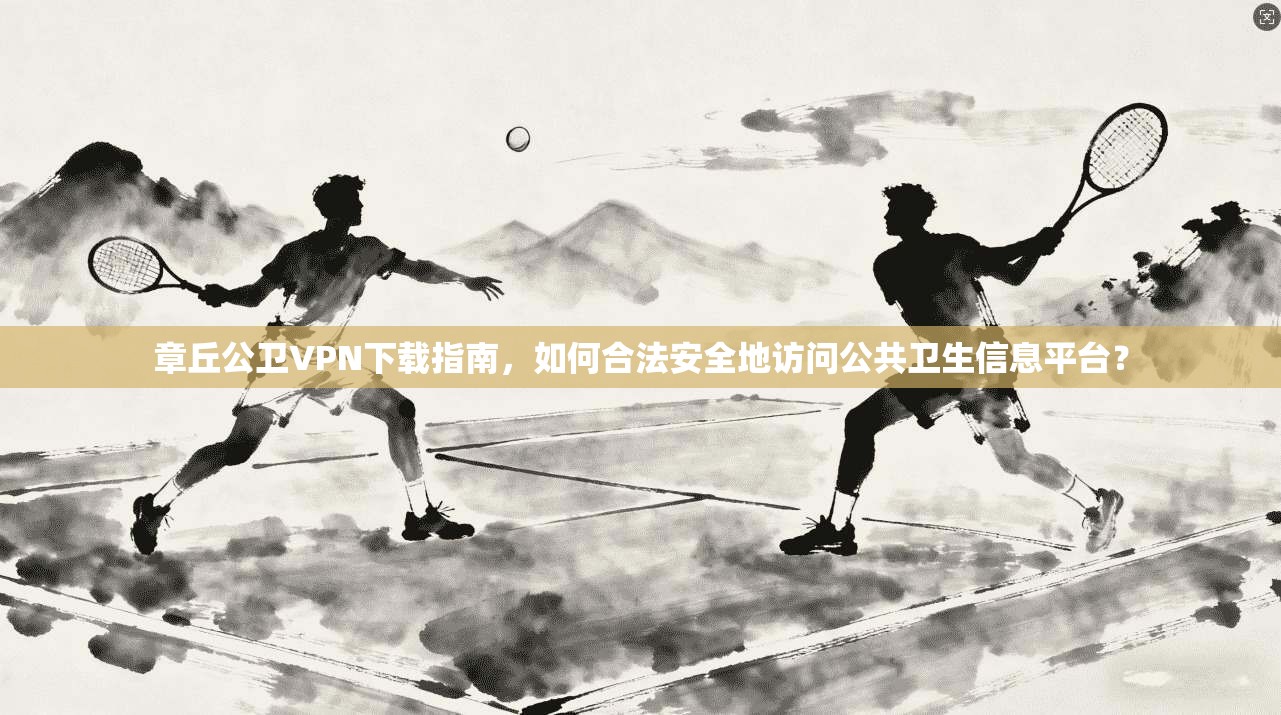 章丘公卫VPN下载指南，如何合法安全地访问公共卫生信息平台？