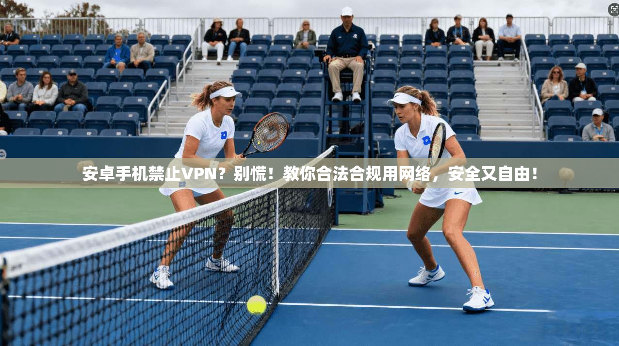 安卓手机禁止VPN？别慌！教你合法合规用网络，安全又自由！