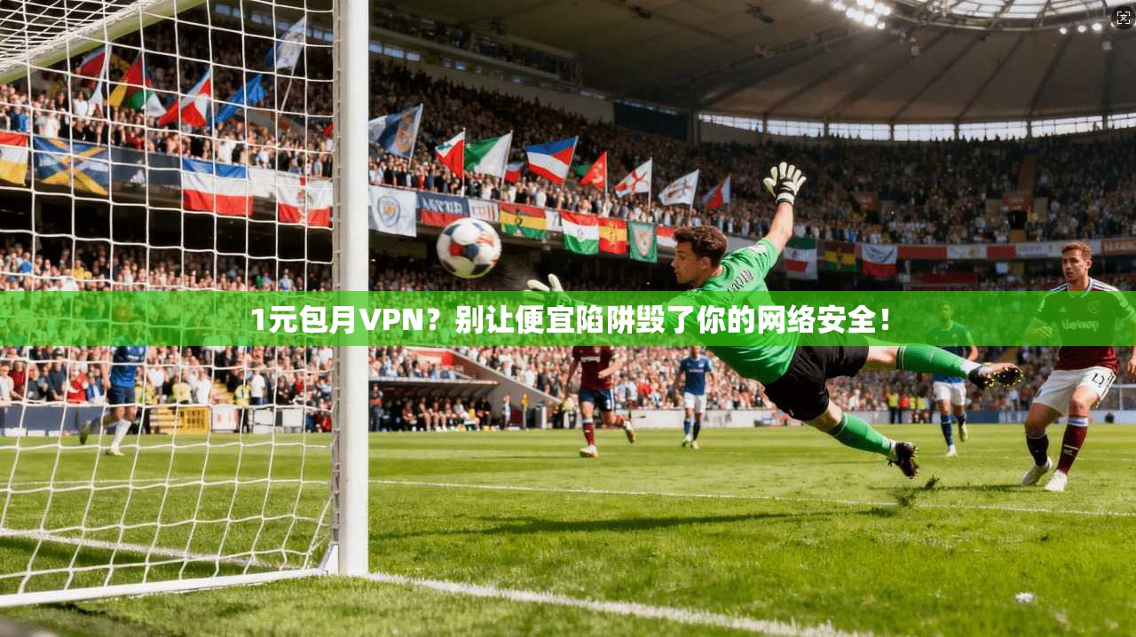 1元包月VPN？别让便宜陷阱毁了你的网络安全！