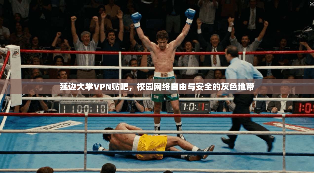 延边大学VPN贴吧，校园网络自由与安全的灰色地带