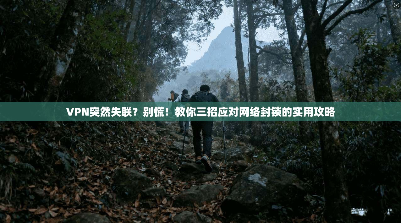 VPN突然失联？别慌！教你三招应对网络封锁的实用攻略