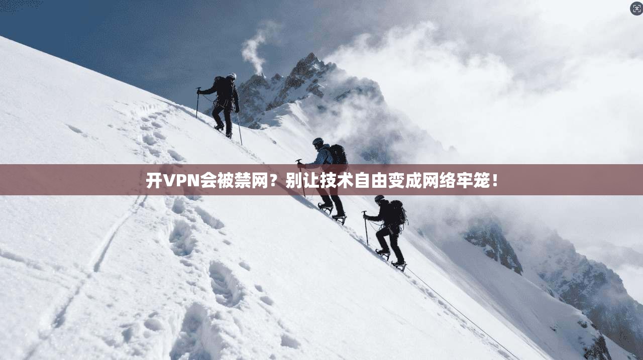 开VPN会被禁网？别让技术自由变成网络牢笼！