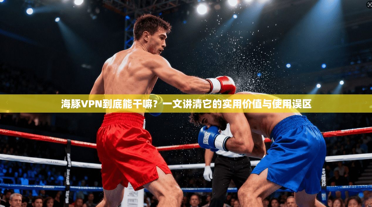 海豚VPN到底能干嘛？一文讲清它的实用价值与使用误区