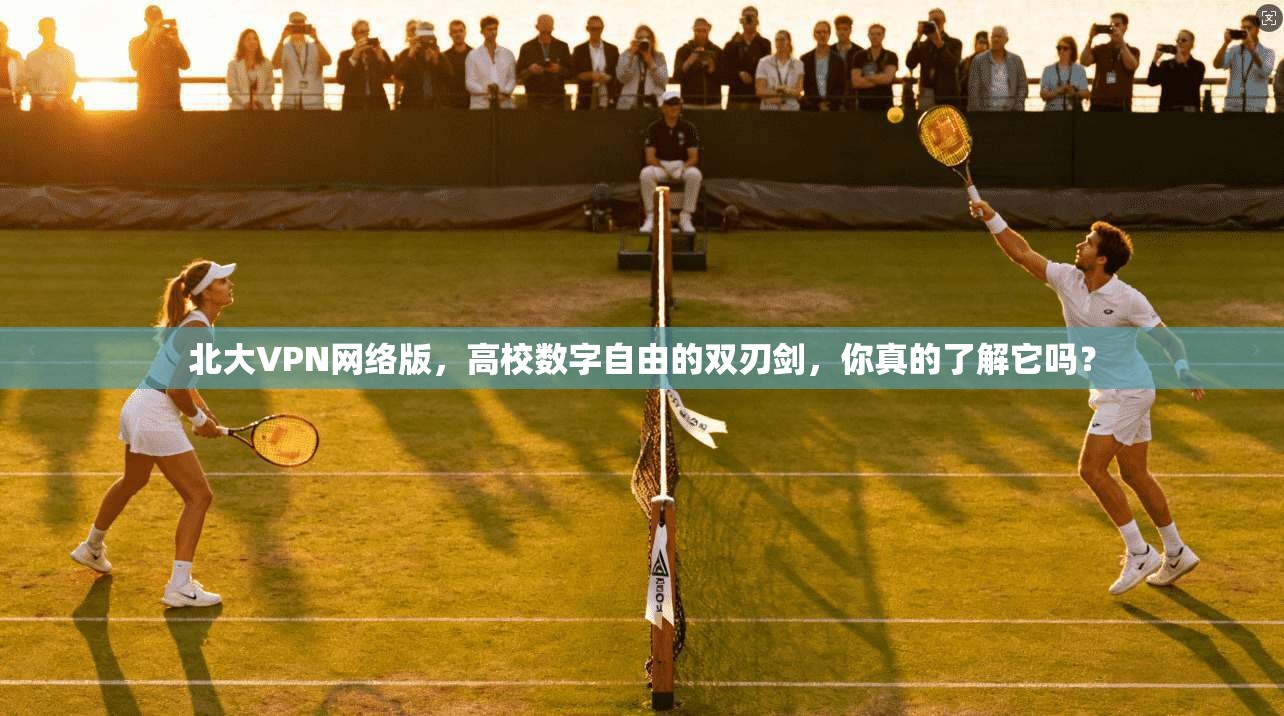 北大VPN网络版，高校数字自由的双刃剑，你真的了解它吗？