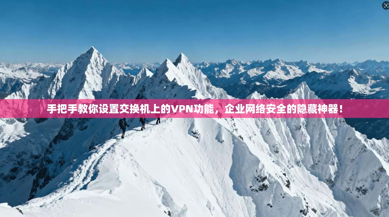 手把手教你设置交换机上的VPN功能，企业网络安全的隐藏神器！