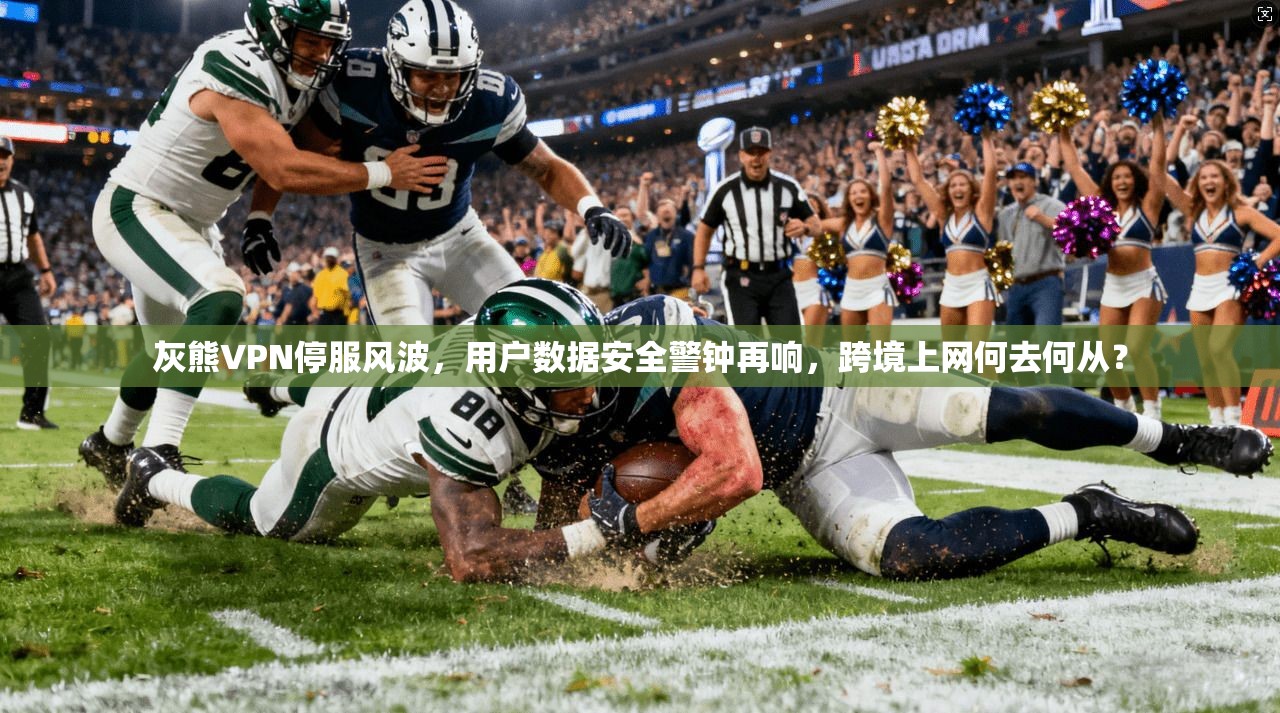 灰熊VPN停服风波，用户数据安全警钟再响，跨境上网何去何从？
