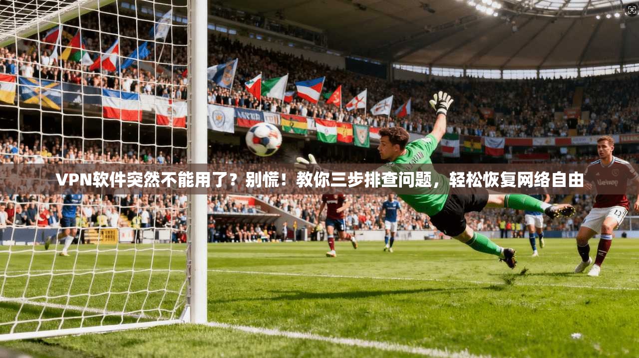 VPN软件突然不能用了？别慌！教你三步排查问题，轻松恢复网络自由