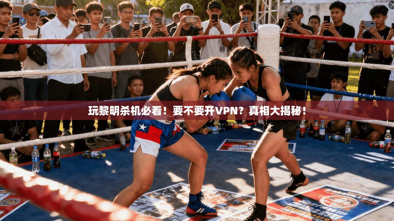 玩黎明杀机必看！要不要开VPN？真相大揭秘！