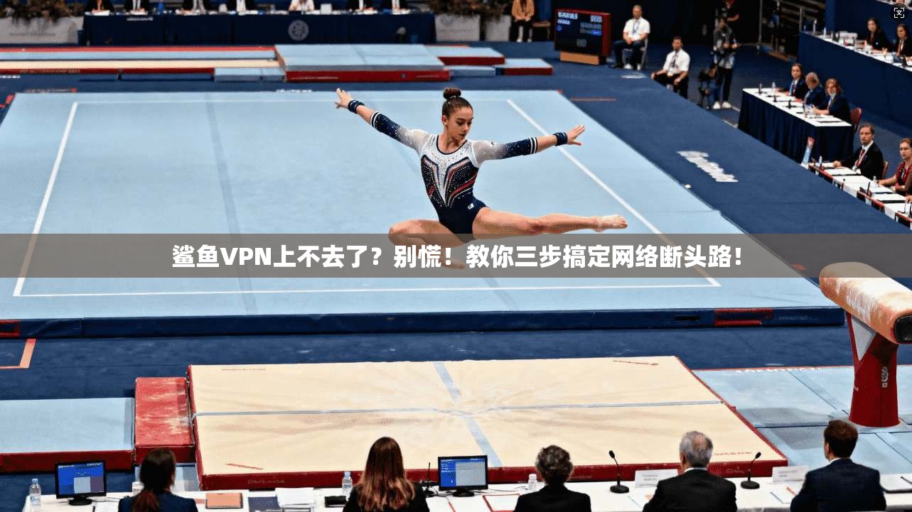 鲨鱼VPN上不去了？别慌！教你三步搞定网络断头路！