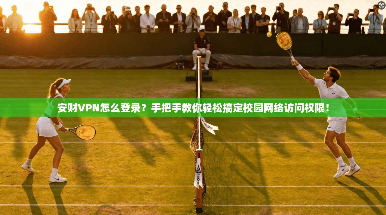安财VPN怎么登录？手把手教你轻松搞定校园网络访问权限！