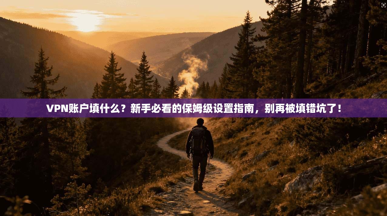 VPN账户填什么？新手必看的保姆级设置指南，别再被填错坑了！