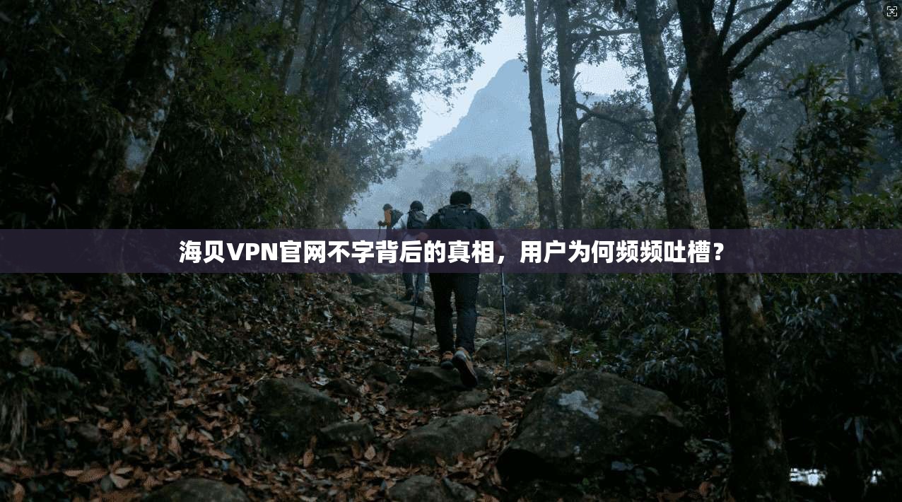 海贝VPN官网不字背后的真相，用户为何频频吐槽？