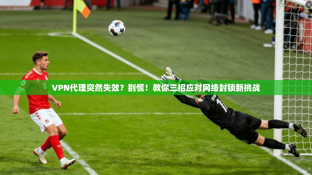 VPN代理突然失效？别慌！教你三招应对网络封锁新挑战