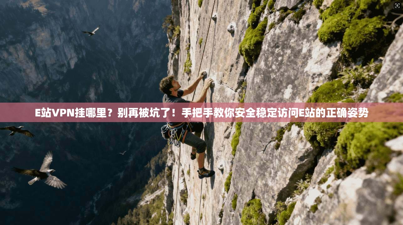 E站VPN挂哪里？别再被坑了！手把手教你安全稳定访问E站的正确姿势