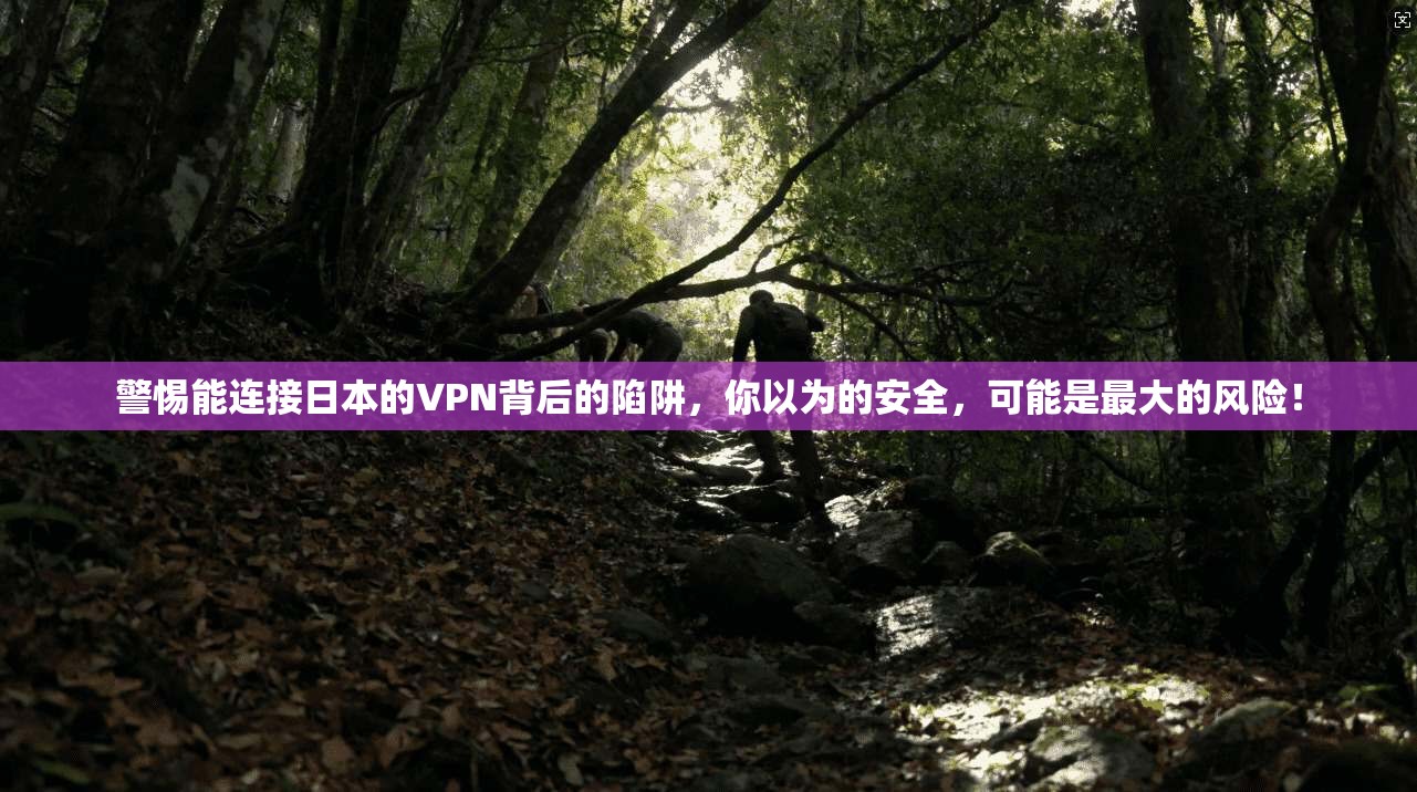 警惕能连接日本的VPN背后的陷阱，你以为的安全，可能是最大的风险！
