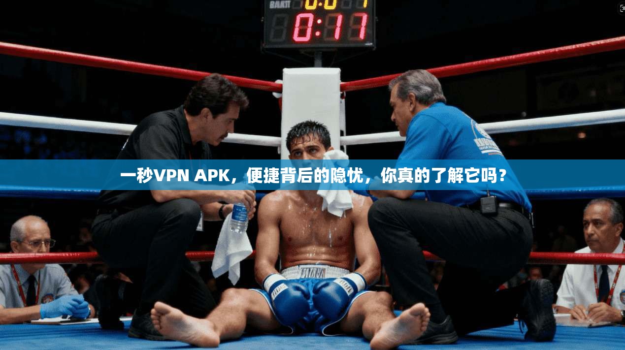 一秒VPN APK，便捷背后的隐忧，你真的了解它吗？