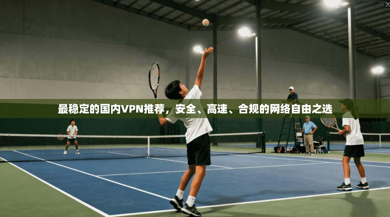 最稳定的国内VPN推荐，安全、高速、合规的网络自由之选