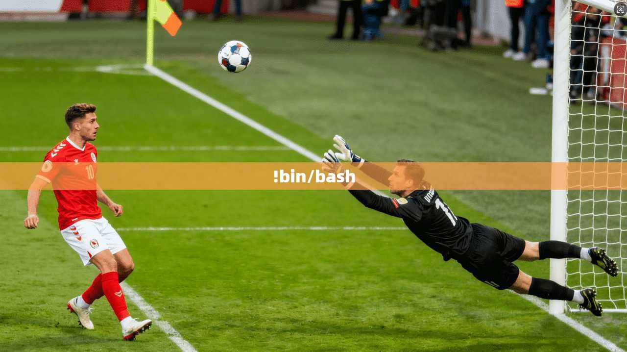 !bin/bash