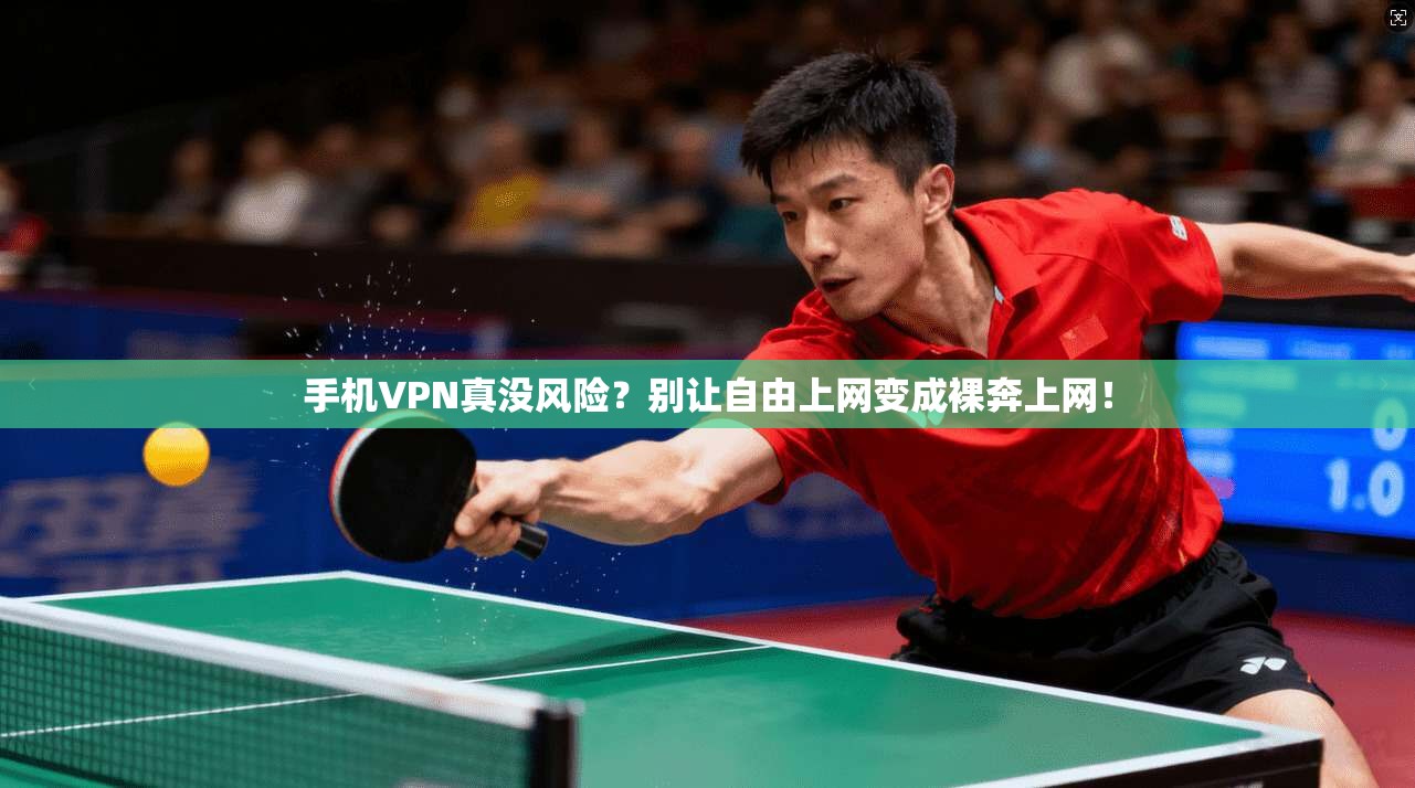 手机VPN真没风险？别让自由上网变成裸奔上网！