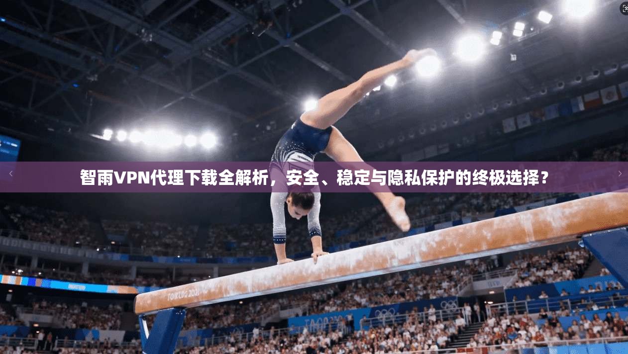 智雨VPN代理下载全解析，安全、稳定与隐私保护的终极选择？