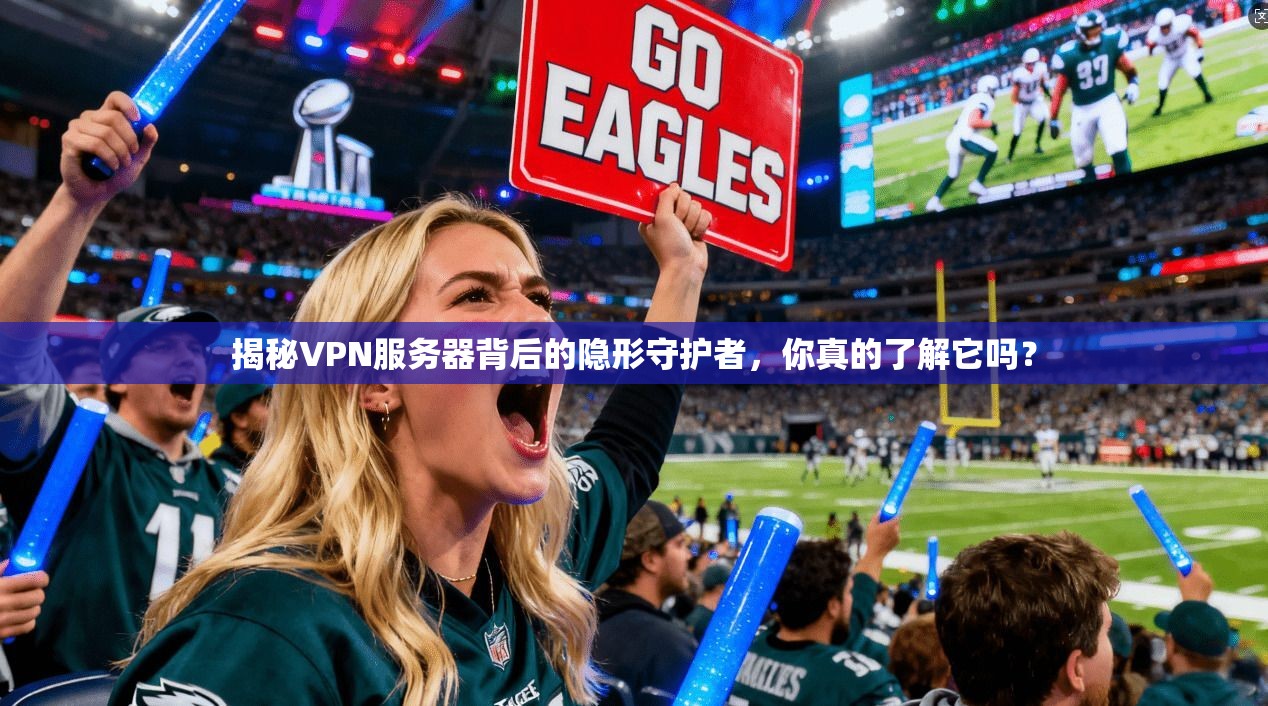 揭秘VPN服务器背后的隐形守护者，你真的了解它吗？