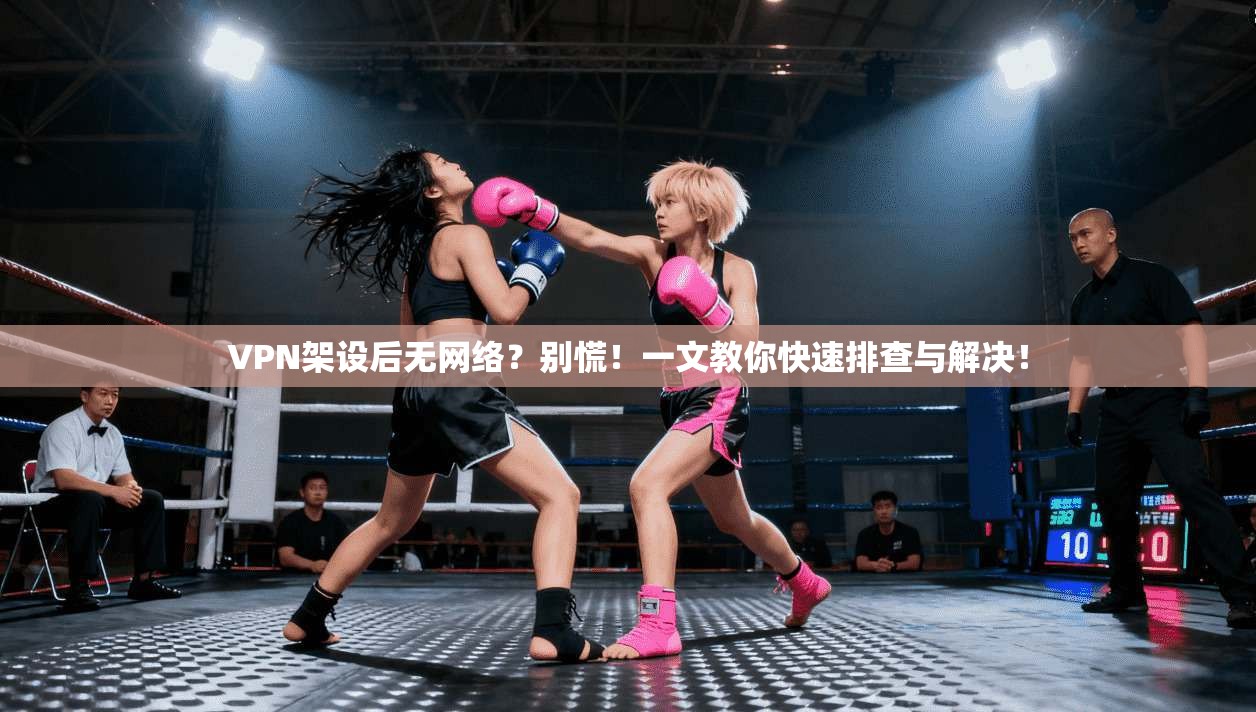 VPN架设后无网络？别慌！一文教你快速排查与解决！