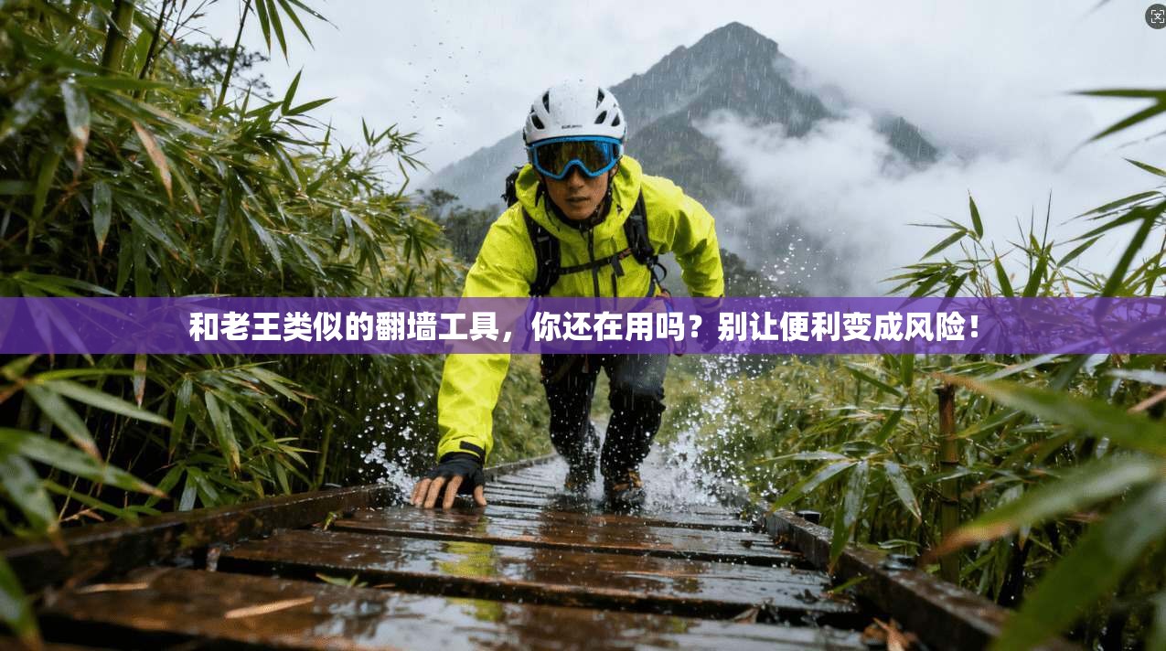 和老王类似的翻墙工具，你还在用吗？别让便利变成风险！