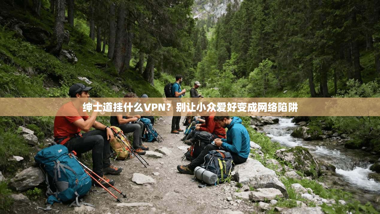绅士道挂什么VPN？别让小众爱好变成网络陷阱