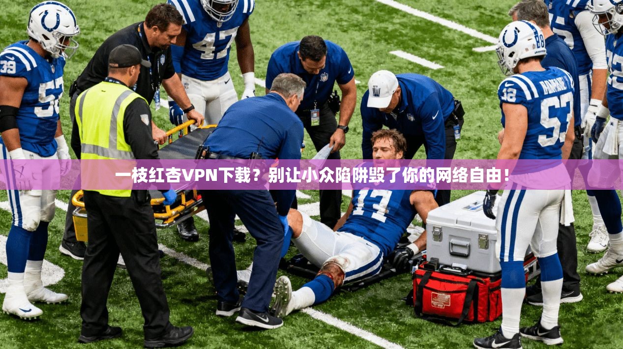 一枝红杏VPN下载？别让小众陷阱毁了你的网络自由！