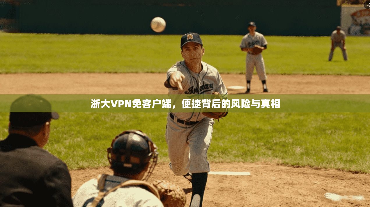 浙大VPN免客户端，便捷背后的风险与真相
