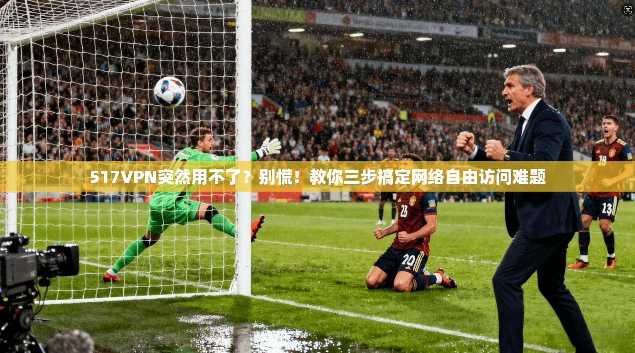 517VPN突然用不了？别慌！教你三步搞定网络自由访问难题