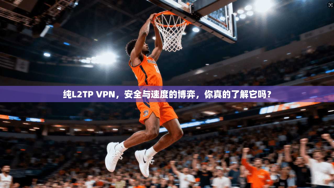 纯L2TP VPN，安全与速度的博弈，你真的了解它吗？